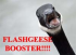 Flashgeese