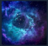 thekraken8him